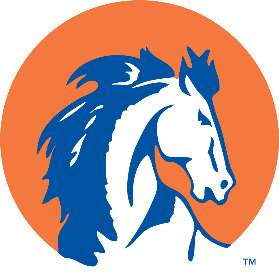 Boise State Broncos 1957-1983 Secondary Logo diy iron on heat transfer